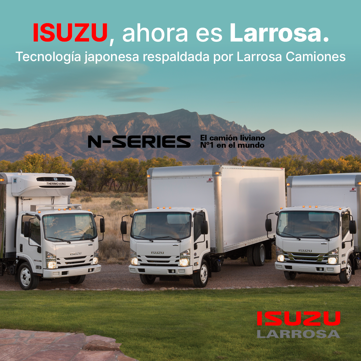 ISUZU Larrosa